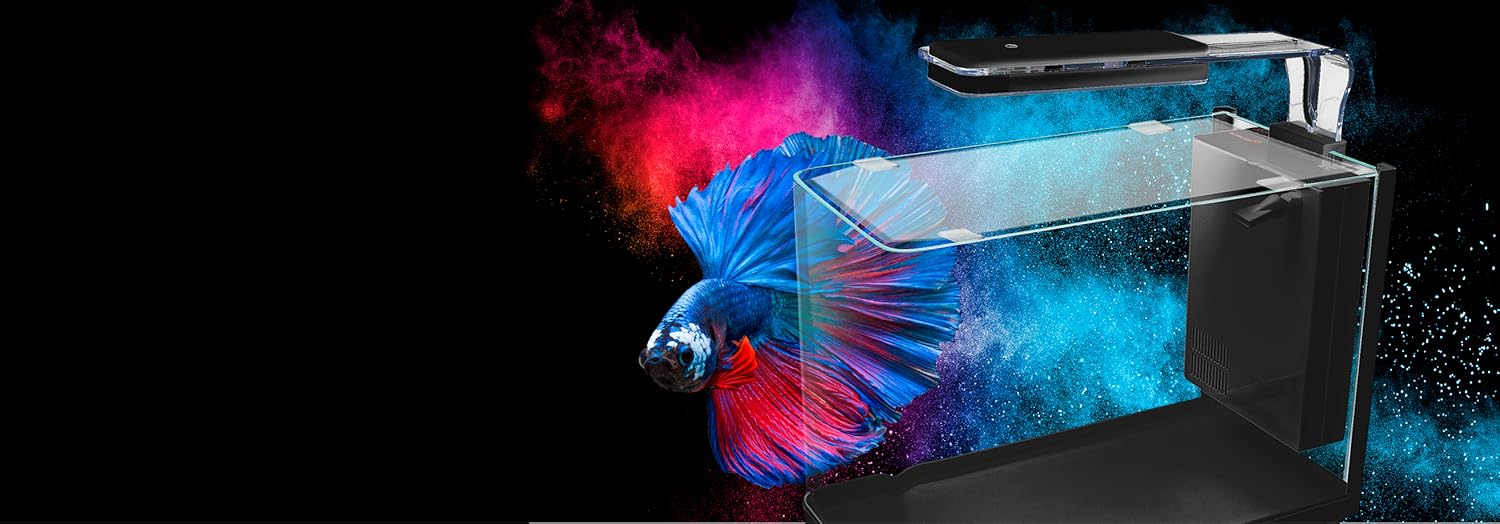 Crystal Clear Aquatic Excellence
